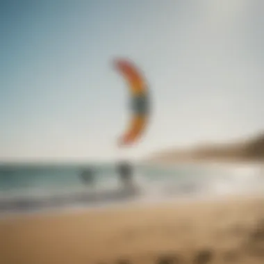 A diverse group of kiteboarders enjoying a vibrant beach environment