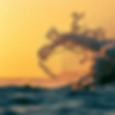 Notable Exploring the Shores: Beaches in Kenya and Their Impact on Kiteboarding