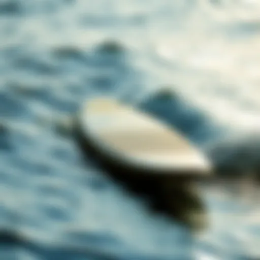 An elegant view of a foil surfboard gliding over water