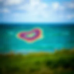 Visual representation of Michigan's wind patterns