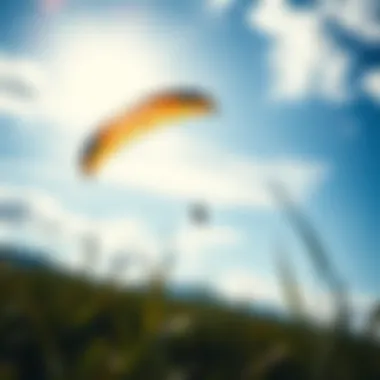 Exploring the World of Really Big Kites Summary
