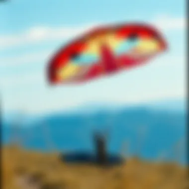 Exploring the World of Second-Hand Kites: A Comprehensive Guide Summary Exploring the World of Second-Hand Kites: A Comprehensive Guide Summary