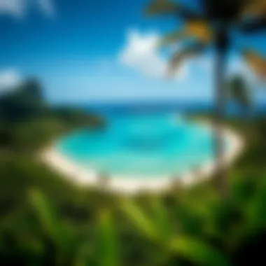 A panoramic view of Coconut Beach showcasing its pristine shoreline and lush surroundings