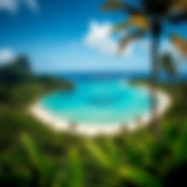 A panoramic view of Coconut Beach showcasing its pristine shoreline and lush surroundings