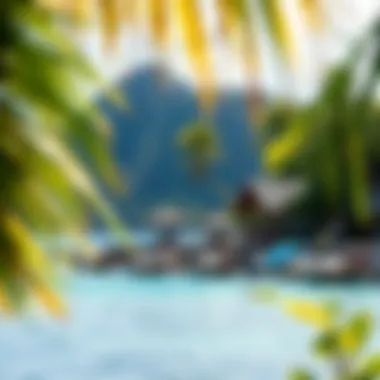 Sustainable practices in action with eco-friendly initiatives along the coastline