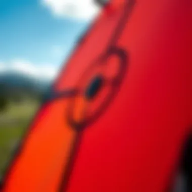 Close-up of the intricate design of a foil kite