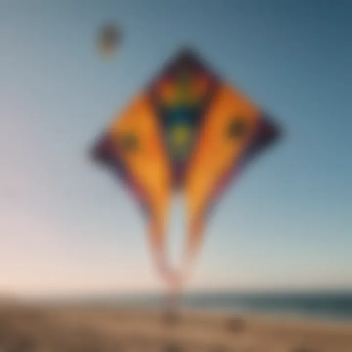 Various types of kites displayed for sale