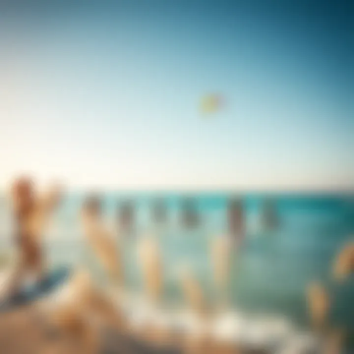 Kiteboarding Community at Holbox A group of kiteboarders enjoying the wind and waves together