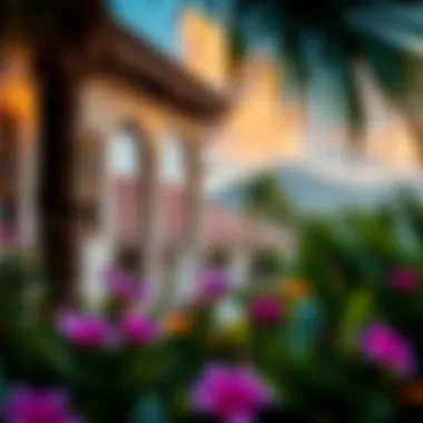 Local attractions and vibrant scenery surrounding Hotel La Plantation in St. Martin.