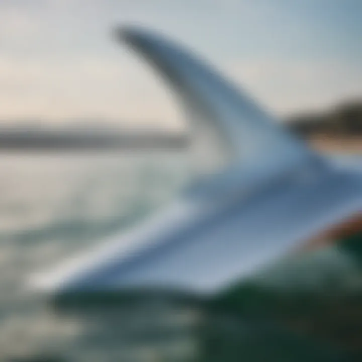 Close-up of a hydrofoil's fin structure