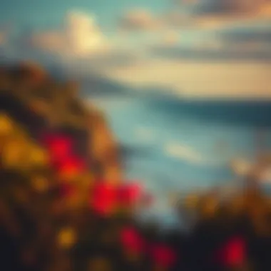 Coastal Beauty of Kinnakeet Retreat Scenic view of Kinnakeet Retreat's coastline