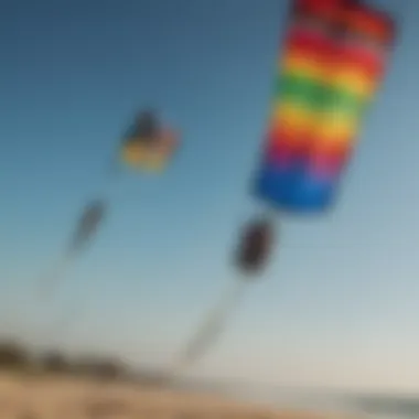 Close-up of various kite designs and colors for different styles