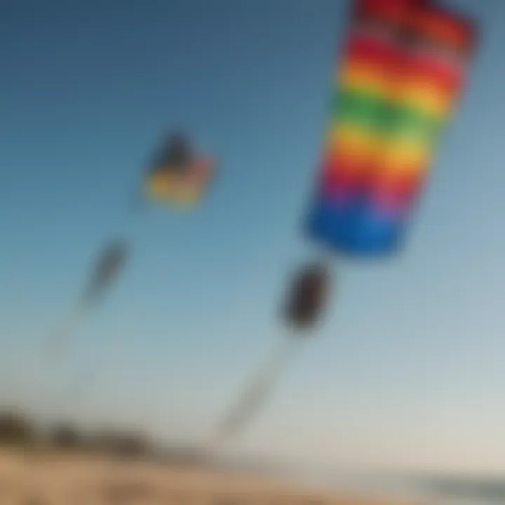 Close-up of various kite designs and colors for different styles