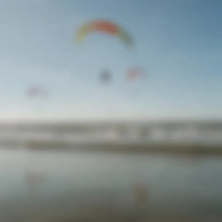 A group of kite surfers enjoying the waves in Charleston waters