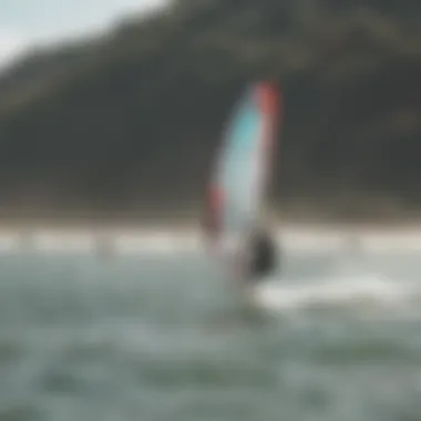The Kite Surfing Community Group of kite surfers enjoying a sunny day on the water