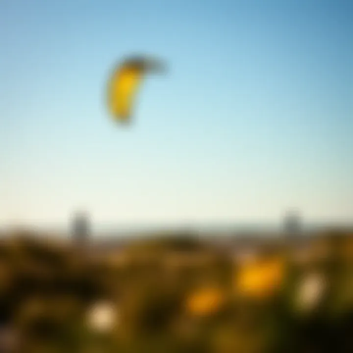 Kite Handling: Size Implications on Control Visual representation of kite handling characteristics at different sizes