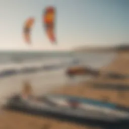 Different types of kiteboard kites displayed on a sunny beach