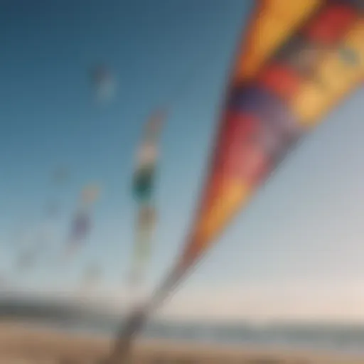 A variety of kites displayed at a kitesurfing shop.