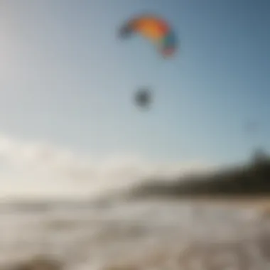 A group of kite surfers enjoying a sunny day at the beach