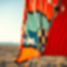 Detailed view of a kite's canopy showcasing material and structure