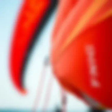 Detailed Look at Mega Kite Fabric and Design Close-up of the intricate design and fabric of a mega kite