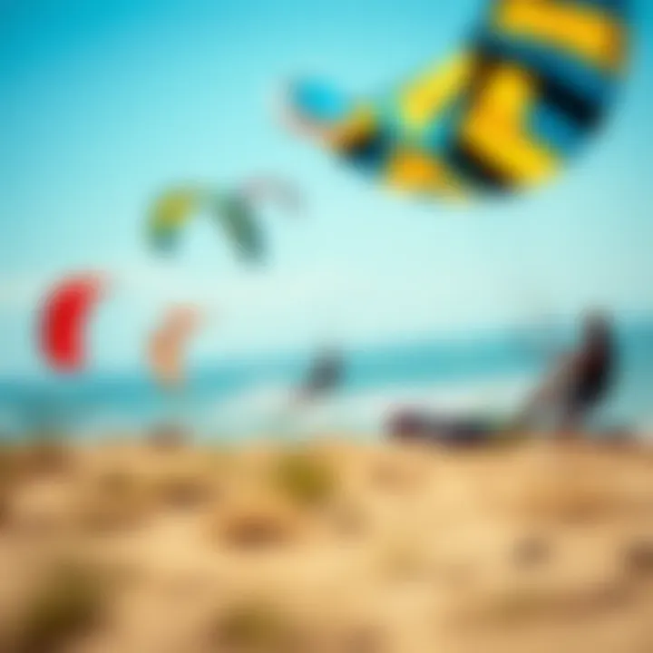 Performance of Ocean Rodeo Kites in Varied Winds Diverse wind conditions showcasing Ocean Rodeo kite performance