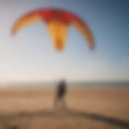 Unique design features of a high-quality training kite