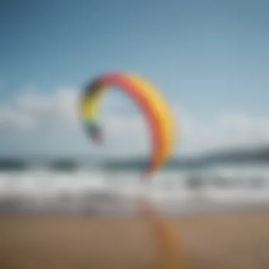 Different types of training kites available for various skill levels