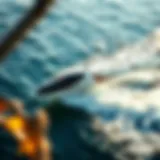 Oz Hydrofoil in Motion A sleek Oz Hydrofoil gliding over water