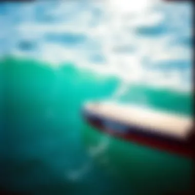 Essential Maintenance for Optimal Performance Maintenance tips for Oz Hydrofoil