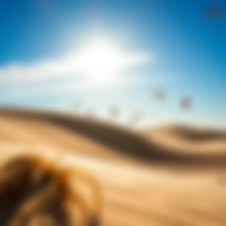Wind-swept dunes with colorful kites
