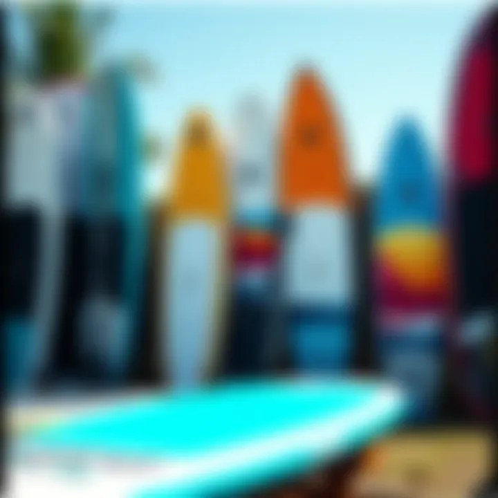 Diverse Range of Starboard Paddleboards Various Starboard paddleboards arranged to display size and style diversity