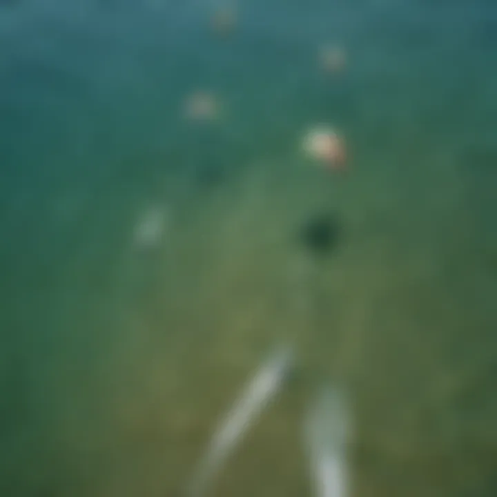 Aerial view of kiteboarders utilizing two-line kites on water.