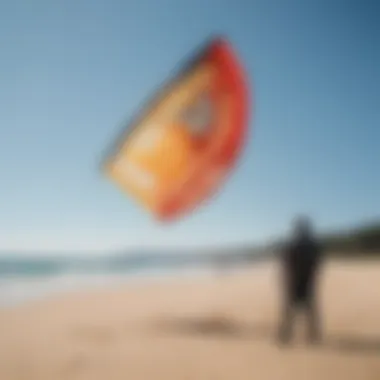 Ozone trainer kites on a beach ready for use