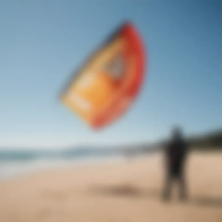 Ozone trainer kites on a beach ready for use