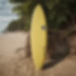 An overview of a pump surfboard showcasing its unique design and structure