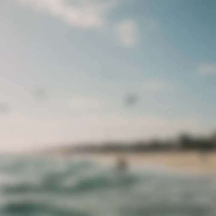 Kiteboarding enthusiasts enjoying a day at the beach with their kites