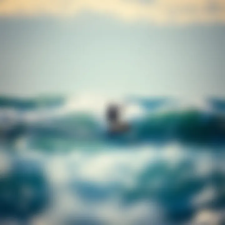 Mastering the Waves: The Art of Kiteboarding A kiteboarder navigating the waves with precision