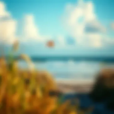 Seasonal Weather Patterns of Jekyll Island Seasonal overview of Jekyll Island's weather patterns