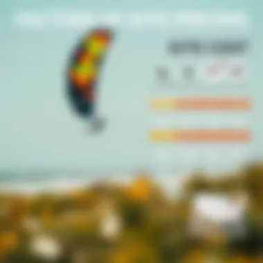 Infographic illustrating factors influencing kite prices