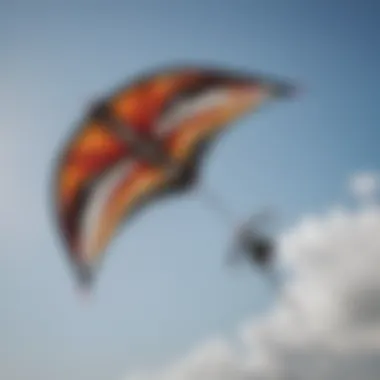 Close-up of a predator kite showcasing its aerodynamic design