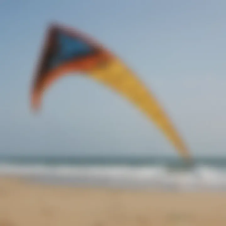Various types of predator kites displayed on a sandy beach