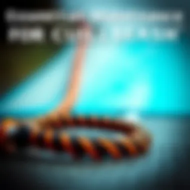 Essential Maintenance for Coiled Surf Leash Maintenance tips displayed visually for keeping a coiled surf leash in optimal condition