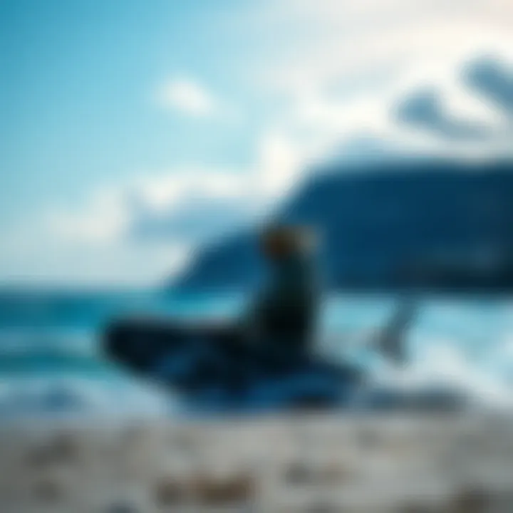 A kiteboarder using the Duotone pump on the beach