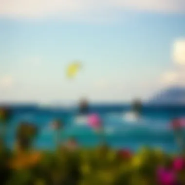 Notable Understanding Weather Patterns in St. Barths for Kiteboarding