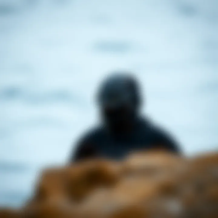 Thermal Protection: Wetsuit vs Dry Suit Thermal protection offered by wetsuits and dry suits